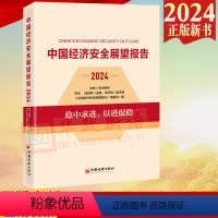 [正版]2024新书 中国经济安全展望报告(2024)中国经济出版社9787513677288