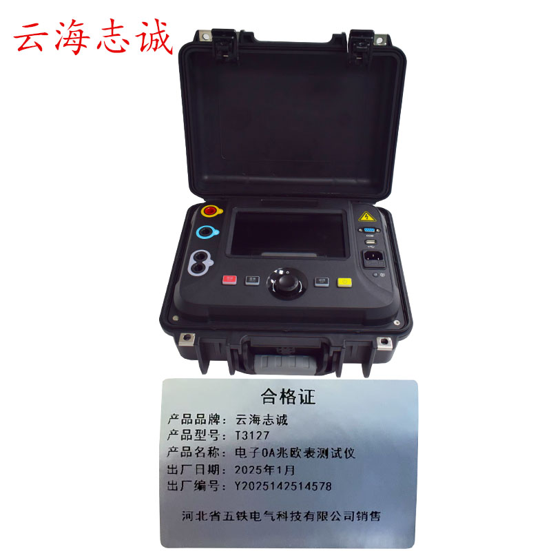 电子OA兆欧表测试仪 T3127 1台