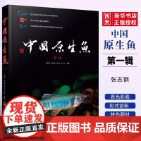 正版中国原生鱼 第一辑 化学工业出版社 观赏鱼原生观赏鱼图鉴书淡水鱼类溪流冷水鱼观赏鱼 鱼类科普书海洋生物知识书籍