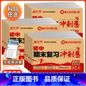 数学 人教版 八年级上 [正版]2023版 七八九年级上册同步试卷测试卷全套语文数学英语练习册人教版初中生物地理历史政治