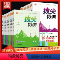 [译林版]英语 七年级下 [正版]2024版通城学典拔尖特训七年级八年级九年级上下册语文数学英语物理人教译林苏科版初一初