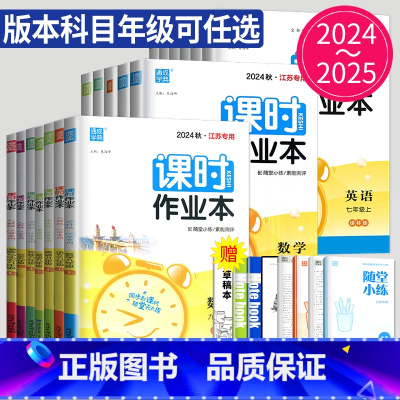 数学 人教南通专用 九年级下 [正版]2024课时作业本七年级八年级九年级上册下册数学语文英语化学物理八上七下苏科版苏教