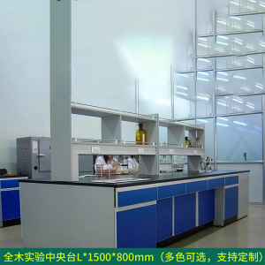 汉诺鑫威全钢实验台钢木PP边台柜试验台化验室工作台实验室桌操作台定制(每米单价)[工厂现做 7天内发货]
