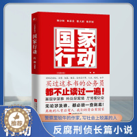 [醉染正版]抖音同款 国家行动 程琳著 长篇反腐刑侦小说 国家悬疑推理警匪破案犯罪打黑惩除恶反腐刑侦探小说 官场小说现当