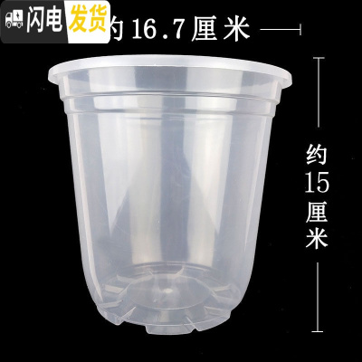 三维工匠绿萝吊兰挂钩塑料花盆厚双层懒人吸水盆悬挂垂吊挂盆透明外盆 高170型透明外盆6个送吸水绳 40-50CM花盆容器