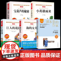 全套5册 宝葫芦的秘密四年级下册阅读课外书必读 小英雄雨来海的女儿巨人的花园青铜葵花正版曹原著完整版4年级快乐读书吧