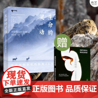 书]店 生命的灵动 中国生物多样性影像20年 随书《自然的呢喃》野生动物摄影 奚志农 摄影书 电子工业出版社