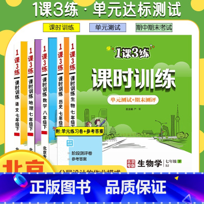 道德与法治+历史[北京版2本] 八年级下 [正版]任选北京版一课三练课时训练语文数学英语地理政治生物七八九年级上下册初一