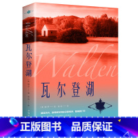 瓦尔登湖 [正版]认准瓦尔登湖 梭罗著名家全译本无删减外国现当代经典小说读物世界名著 初高中小学生课外阅读物世界国外