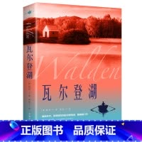 瓦尔登湖 [正版]认准瓦尔登湖 梭罗著名家全译本无删减外国现当代经典小说读物世界名著 初高中小学生课外阅读物世界国外