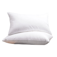 优福安达优福安达 羽丝绒枕芯 ZT20230002 /个