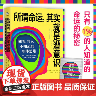 所谓命运 其实就是潜意识 卡琳·泰恩 著 励志与成功