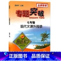 现代文课外阅读 七年级 [正版]孟建平专题突破 七年级现代文课外阅读ZT212初中初一7年级语文阅读训练课外现代文阅读理