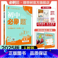 化学 RJ 九年级下 [正版]理想树2025版初中必刷题九年级下册化学人教版RJ初三必刷题同步练习中考复习资料模拟题辅导