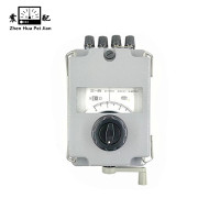 震配 ZHEN HUA PEI JIAN NT 地线电阻表 ZC-8/0-100Ω 台