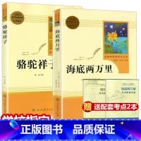 人民教育 七下 海底+骆驼祥子[全套2册赠考点] [正版]赠2本考点人教版海底两万里和骆驼祥子2本套装原著初中版人民教育