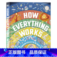 [正版]DK万物如何运作 英文原版 How Everything Works 图拆解万物大百科全书精装大开青少年英语课