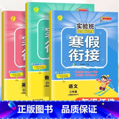 语文+数学+英语[人教版]/3本 小学三年级 [正版]2024新版春雨实验班寒假衔接一二三四五六年级上册寒假作业语文数学