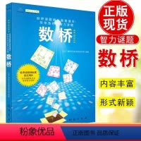 [全8册]青少年益智谜题挑战全书 [正版] 数学数独书 数桥谜题世界谜题锦标赛 中小学生世界智力谜题少儿开发智力游戏