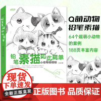 铅笔素描如此简单 小动物萌萌哒 基础素描技法案例 萌系小动物素描画法讲解教程 初学者绘画入门零基础教学书籍