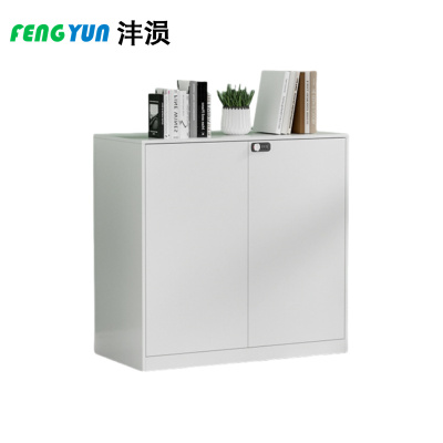 沣涢 文件柜 二门80cm 台