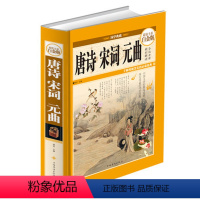 [正版]唐诗宋词元曲全集鉴赏词典精装全彩原文注释全注诗评500余首三百首经典小学中国古诗词 学生青少年必读课外书 原著