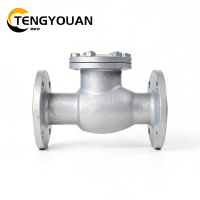 腾友安铸钢止回阀DN80/个