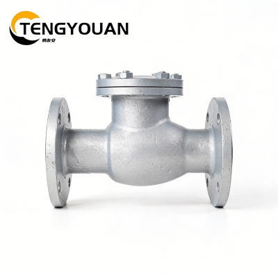 腾友安铸钢止回阀DN80/个