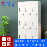 绵冠更衣柜员工柜带门锁铁皮柜储物柜职员柜浴室柜 九门更衣柜
