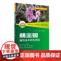 桃金娘栽培技术彩色图说 新时代乡村振兴丛书 桃金娘的起源分布 植物学特征 征 繁殖方法 种植方法 病虫害防治等 出版社正