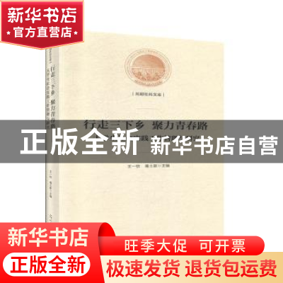 正版 行走三下乡 聚力青春路:大学生社会实践工作管理与研究 王一