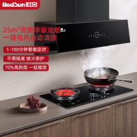 红日(RedSun)家用侧吸式油烟机 25立方大风量 70%高热效 一级能效烟灶套装 JEM26H+EX28B液化气