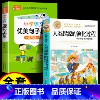 [2册]人类起源+优美句子积累 [正版]人类起源的演化过程 彩色图案四年级下册必读快乐读书吧小学生课外阅读书目贾兰坡五六