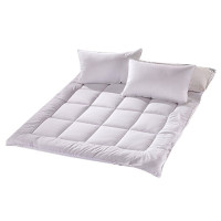 汉司家纺 HANSI-29 150*200cm 床垫(计价单位:件) 纯白色