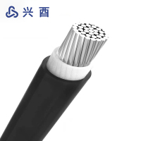兴酉 低压单芯铝电缆 YJLV-1*4 米
