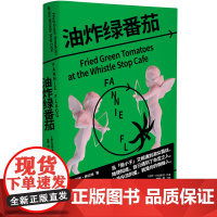 油炸绿番茄 女性情谊 影视原著 凯西·贝茨主演 我的天才女友 聊天记录 小说图书 油炸绿番茄 现当代外国文学小说书籍