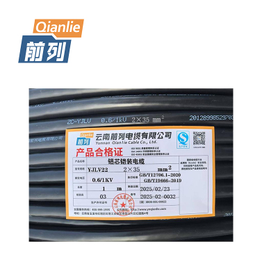前列 铝芯铠装电缆 ZC-YJLV22-0.6/1KV-2×35mm² 米