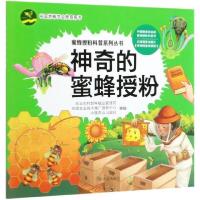 正版新书]蜜蜂授粉科普系列丛书:神奇的蜜蜂授粉农业农村部种植