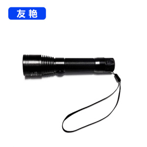 友艳LED灯YYDD-014/个