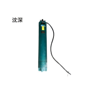 沈深潜水电机YQS300-3KW