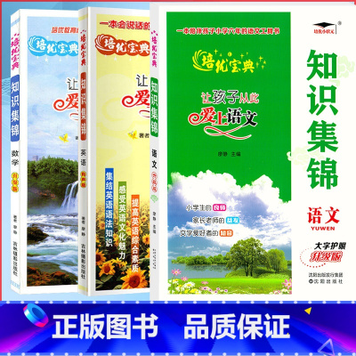 3本/知识集锦[语数英]知识点归纳 小学通用 [正版]2024知识集锦语文升级版大字护眼小学1-6年级语文数学科学基础知