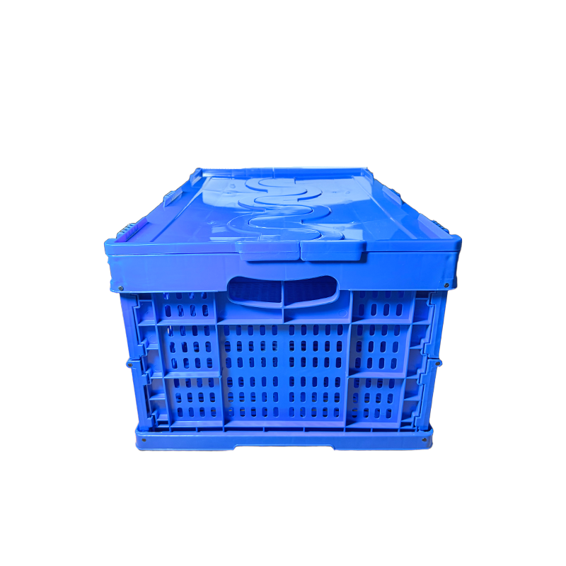 秦泰(Cqint) FSBOX-05 收纳箱 (计价单位:个) 蓝色