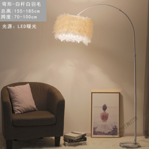 苏宁放心购 羽毛落地灯钓鱼客厅卧室书房创意网红遥控北欧极ins风立式台灯