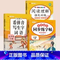 同步练字帖+看拼音写词语+阅读理解 四年级下 [正版]五年级下册语文同步练字帖人教版写好中国字小学每日一练小学生英语衡水
