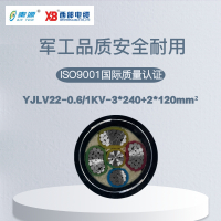 秦源牌 YJLV22-0.6/1KV-3*240+2*120mm² 铝芯低压钢带铠装电力电缆 元/米 定制商品 联系客服