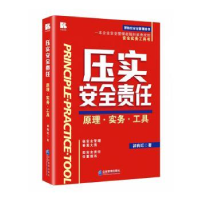 音像压实安全责任——原理·实务·工具祁有红著