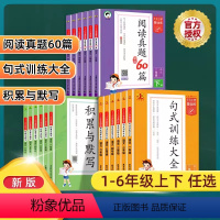 句式训练+积累与默写+阅读真题60篇[2024春 下册] 小学一年级 [正版]2024新53小学基础练语文积累与默写阅读