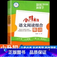 语文阅读组合集训 小学升初中 [正版]小升初语文阅读组合集训人教版六年级下册阅读理解专项训练书小学升初中文言文现代文古诗
