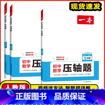 数学人教版 ❤️ 压轴题 九年级/初中三年级 [正版]2025版初中数学压轴题计算题满分训练七年级八年级九年级中考人教版