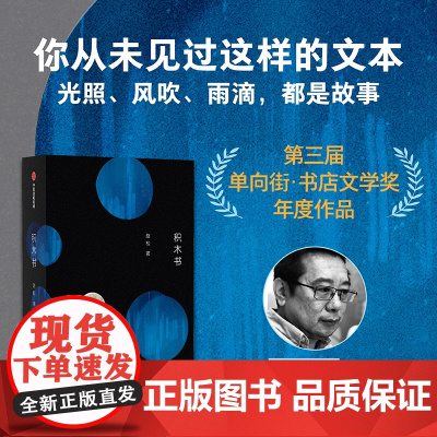 亲签版]积木书 收获文学排行榜 豆瓣年度榜单 单向街书店文学奖入选作家赵松代表作品数百个短章还原当代人的时时刻刻 中信出